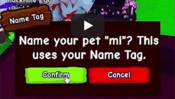 Recorded Ride a Pet confirmation asking to name the pet mi, warning that this uses the Name Tag, with Confirm and Cancel buttons.
